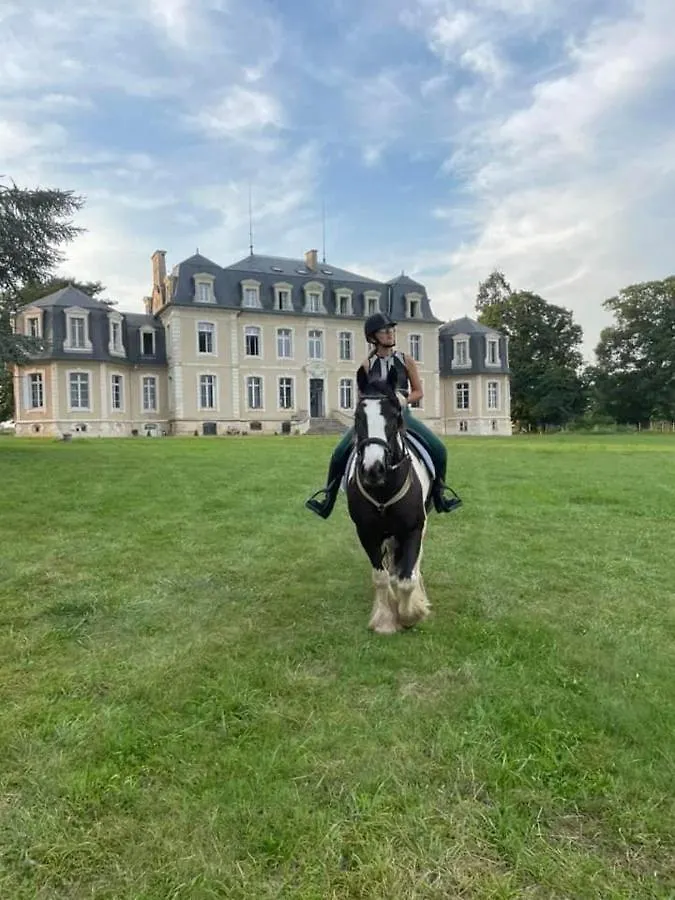 Guest house Gite De La Comtesse Chateau De La Bouchatte Chazemais France